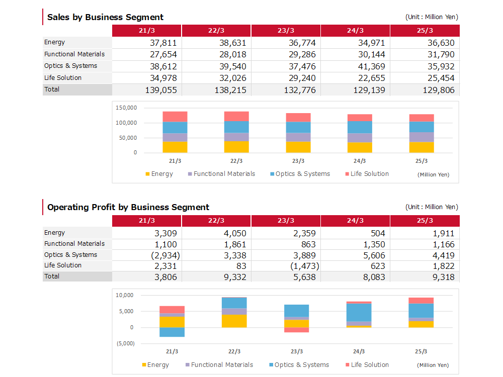 Information by Business Segment