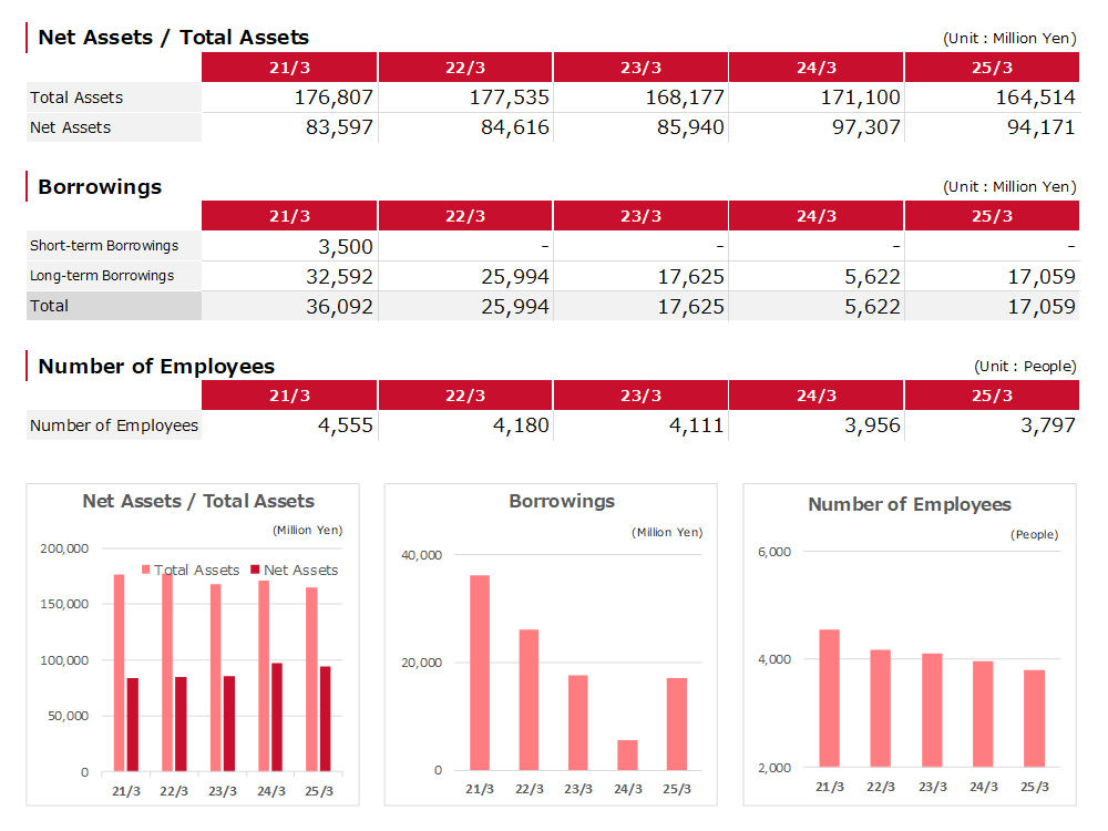 Net Assets Total Assets Borrowings Number of Employees