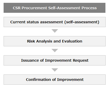 CSR Procurement Self-Assessment Process