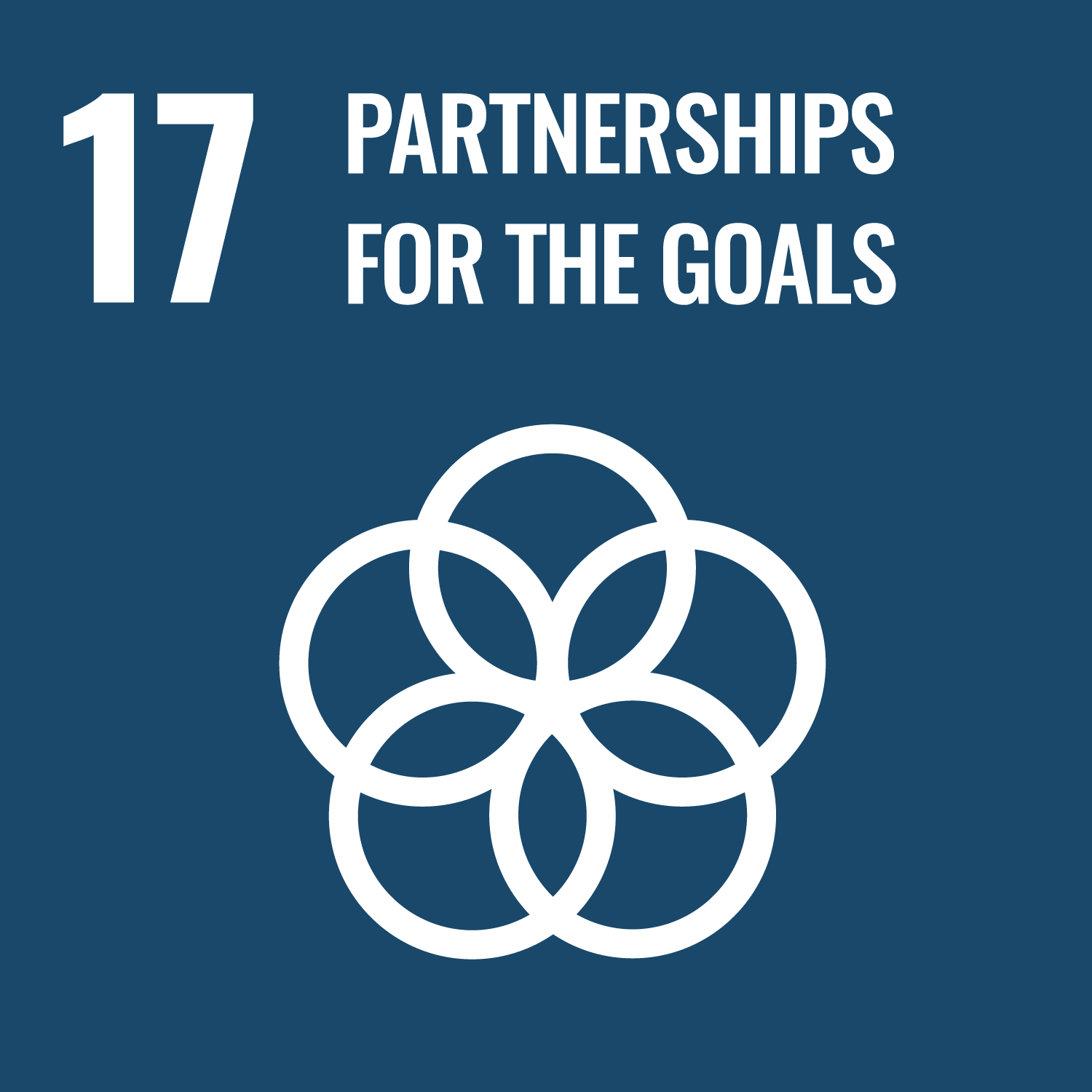 sdgs 17 PARTNERSHIPS FOR THE GOALS